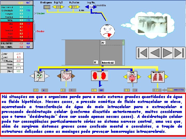 , mmol/dia IV IC Intersticial Há situações em que o organismo perde para o