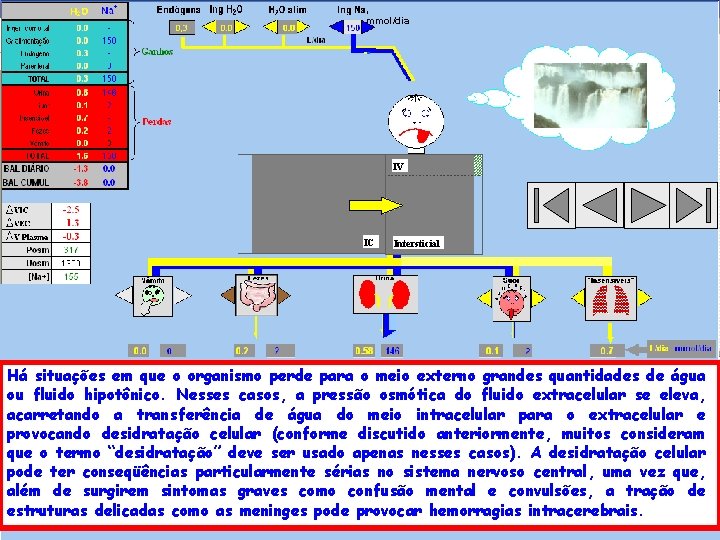 , mmol/dia IV IC Intersticial Há situações em que o organismo perde para o