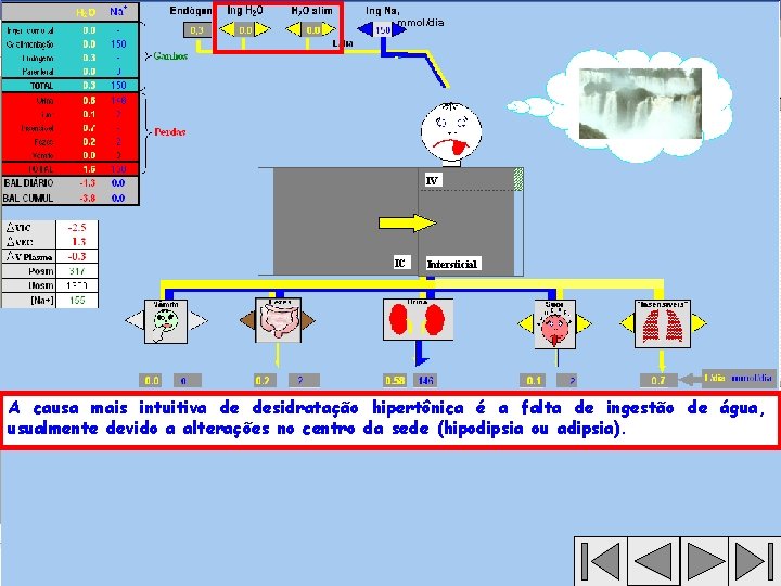 , mmol/dia IV IC Intersticial A causa mais intuitiva de desidratação hipertônica é a