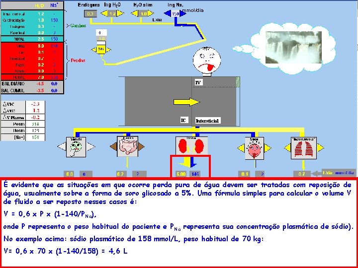 , mmol/dia IV IC Intersticial É evidente que as situações em que ocorre perda