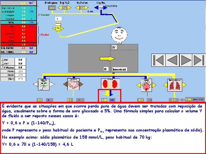 , mmol/dia IV IC Intersticial É evidente que as situações em que ocorre perda