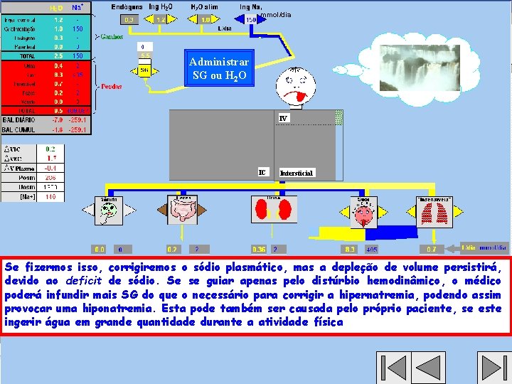 , mmol/dia Administrar SG ou H 2 O IV IC Intersticial Se fizermos isso,