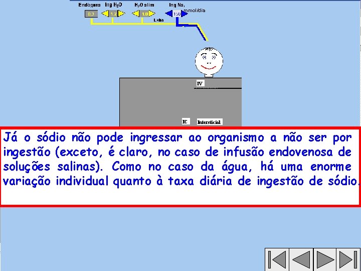 , mmol/dia IV IC Intersticial Já o sódio não pode ingressar ao organismo a