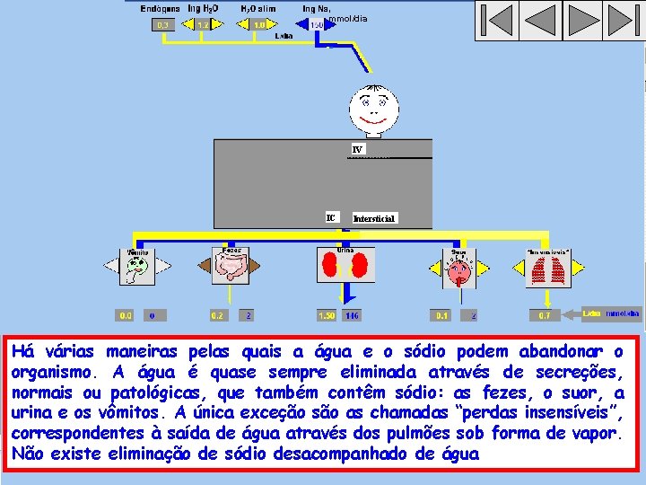 , mmol/dia IV IC Intersticial Há várias maneiras pelas quais a água e o