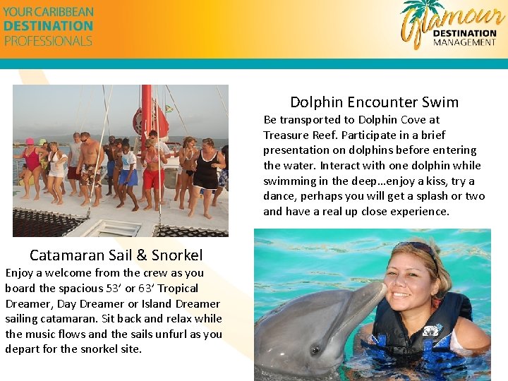 Dolphin Encounter Swim Be transported to Dolphin Cove at Treasure Reef. Participate in a