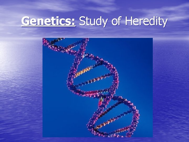 Genetics: Study of Heredity 