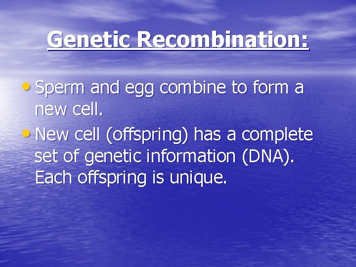 Genetic Recombination: • Sperm and egg combine to form a new cell. • New