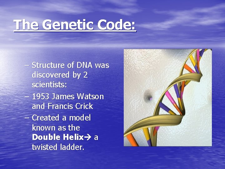 The Genetic Code: – Structure of DNA was discovered by 2 scientists: – 1953