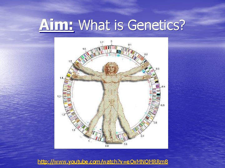 Aim: What is Genetics? http: //www. youtube. com/watch? v=e. Ov. MNOMRRm 8 