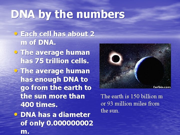 DNA by the numbers • Each cell has about 2 • • • m