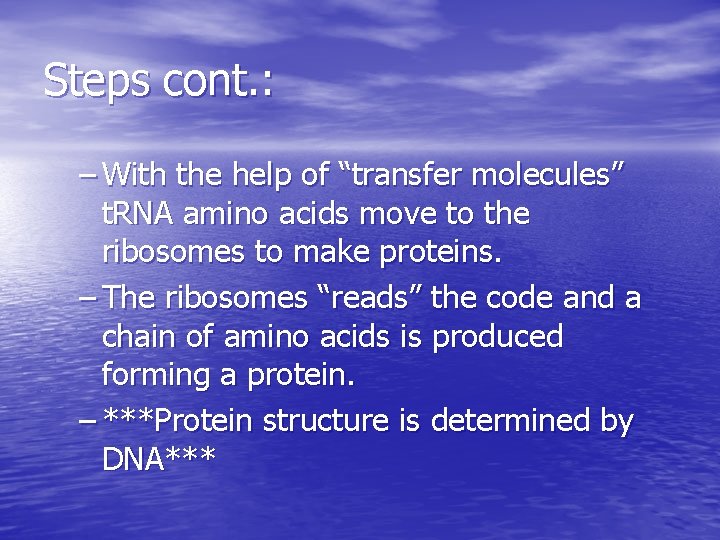 Steps cont. : – With the help of “transfer molecules” t. RNA amino acids