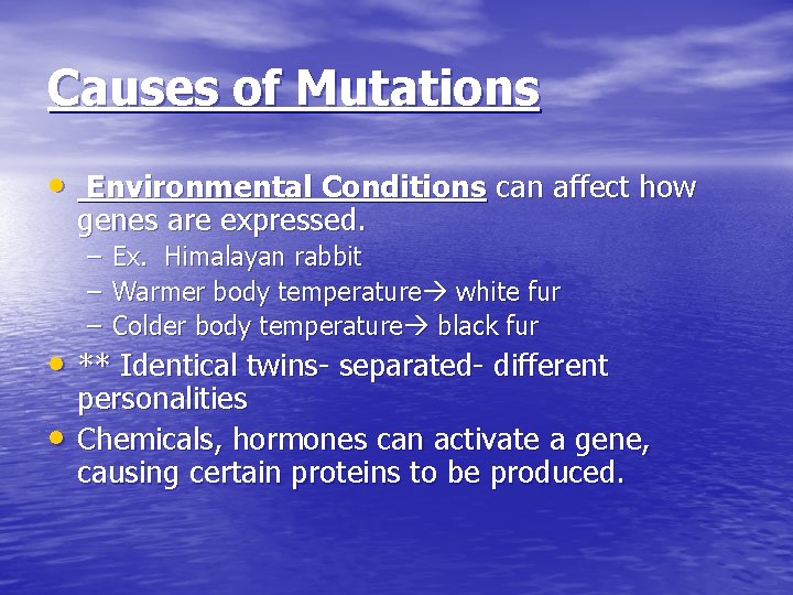 Causes of Mutations • Environmental Conditions can affect how genes are expressed. – Ex.