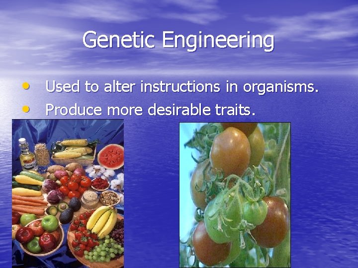 Genetic Engineering • Used to alter instructions in organisms. • Produce more desirable traits.
