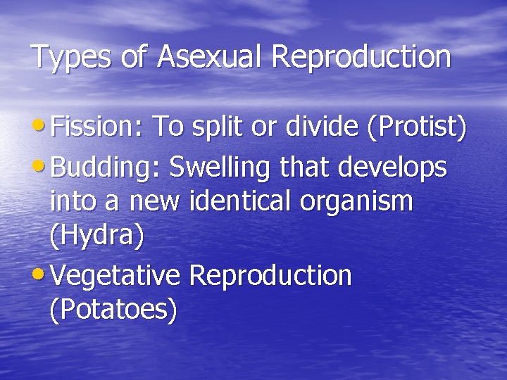 Types of Asexual Reproduction • Fission: To split or divide (Protist) • Budding: Swelling