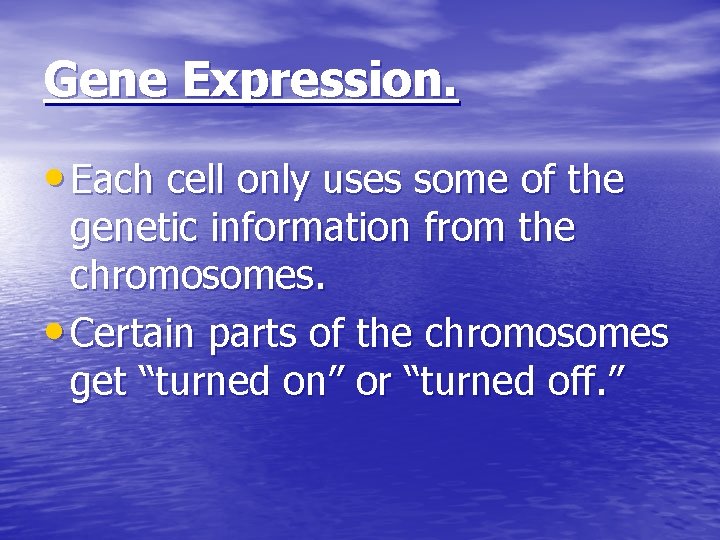 Gene Expression. • Each cell only uses some of the genetic information from the