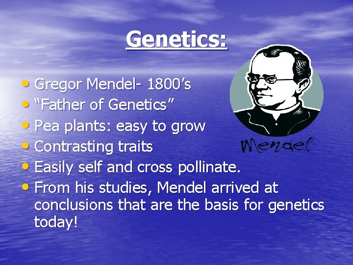 Genetics: • Gregor Mendel- 1800’s • “Father of Genetics” • Pea plants: easy to