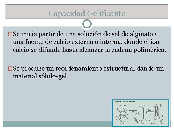 Capacidad Gelificante �Se inicia partir de una solución de sal de alginato y una