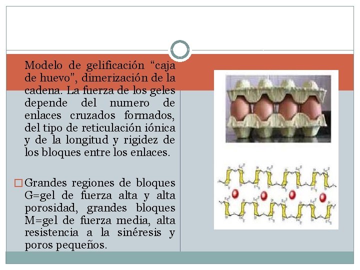� Modelo de gelificación “caja de huevo”, dimerización de la cadena. La fuerza de