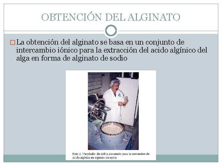 OBTENCIÓN DEL ALGINATO � La obtención del alginato se basa en un conjunto de