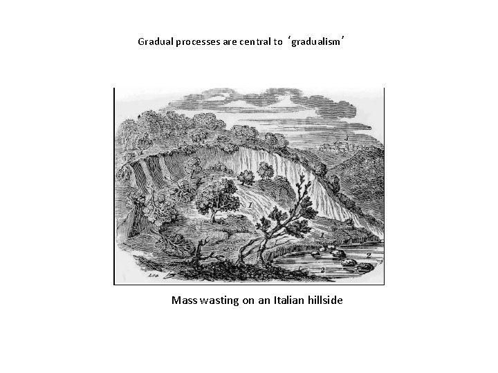 Gradual processes are central to ‘gradualism’ Mass wasting on an Italian hillside 