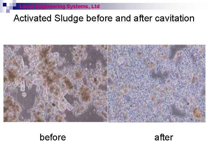 Local Engineering Systems, Ltd Activated Sludge before and after cavitation before after 