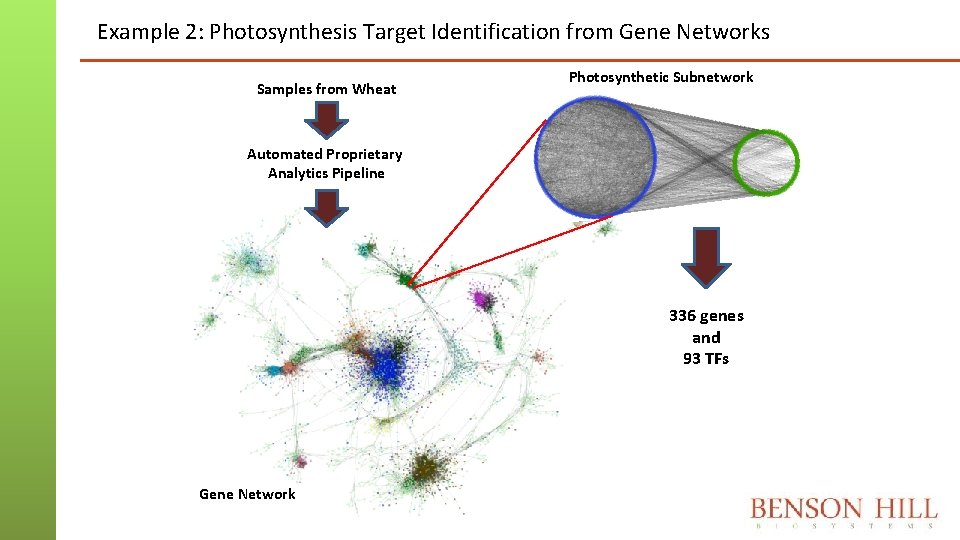 Example 2: Photosynthesis Target Identification from Gene Networks Samples from Wheat Photosynthetic Subnetwork Automated Example 2: Photosynthesis Target Identification from Gene Networks Samples from Wheat Photosynthetic Subnetwork Automated