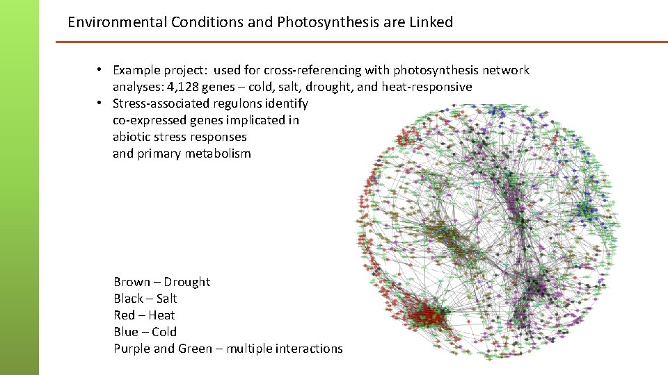 Environmental Conditions and Photosynthesis are Linked • Example project: used for cross-referencing with photosynthesis Environmental Conditions and Photosynthesis are Linked • Example project: used for cross-referencing with photosynthesis