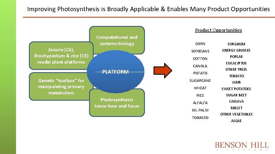 Improving Photosynthesis is Broadly Applicable & Enables Many Product Opportunities Setaria (C 4), Brachypodium Improving Photosynthesis is Broadly Applicable & Enables Many Product Opportunities Setaria (C 4), Brachypodium