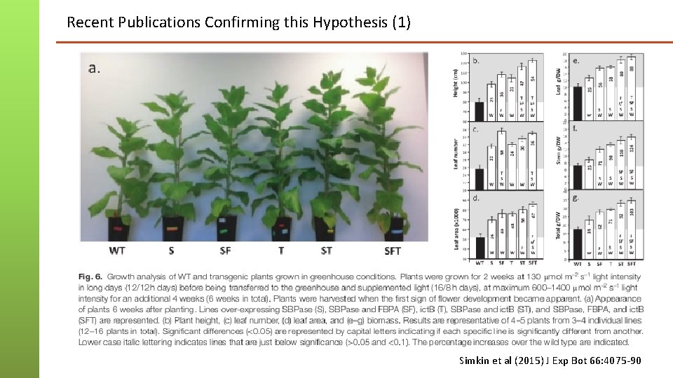 Recent Publications Confirming this Hypothesis (1) Simkin et al (2015) J Exp Bot 66: Recent Publications Confirming this Hypothesis (1) Simkin et al (2015) J Exp Bot 66: