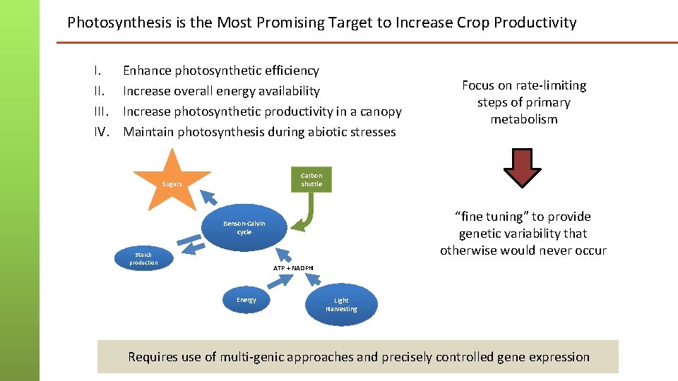Photosynthesis is the Most Promising Target to Increase Crop Productivity I. III. IV. Enhance Photosynthesis is the Most Promising Target to Increase Crop Productivity I. III. IV. Enhance