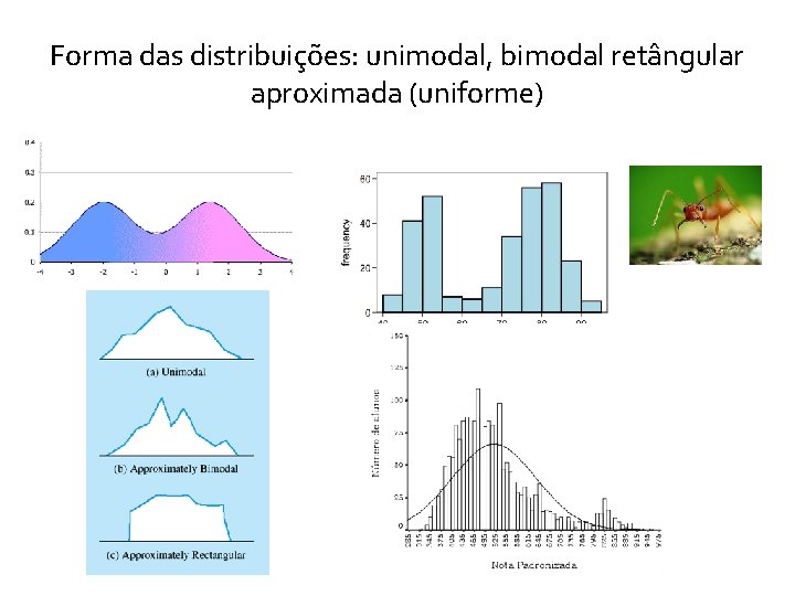 Forma das distribuições: unimodal, bimodal retângular aproximada (uniforme) Forma das distribuições: unimodal, bimodal retângular aproximada (uniforme)