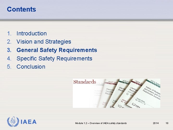 Contents 1. 2. 3. 4. 5. Introduction Vision and Strategies General Safety Requirements Specific
