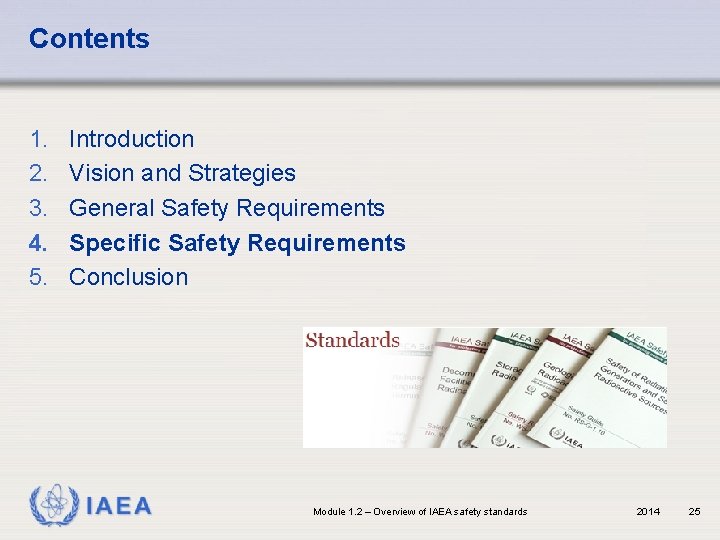Contents 1. 2. 3. 4. 5. Introduction Vision and Strategies General Safety Requirements Specific