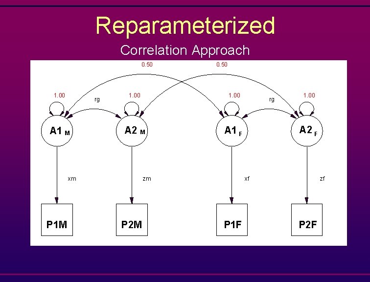 Reparameterized Correlation Approach 0. 50 1. 00 rg A 1 M 1. 00 A