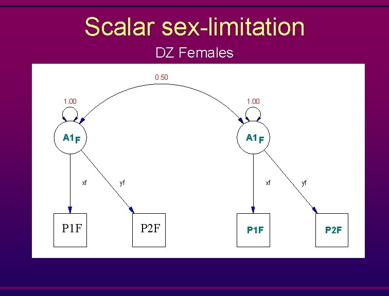 Scalar sex-limitation DZ Females 0. 50 1. 00 A 1 F xf P 1
