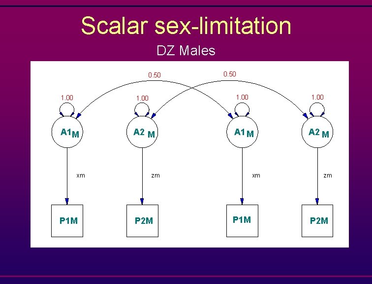 Scalar sex-limitation DZ Males 0. 50 1. 00 A 1 M xm P 1