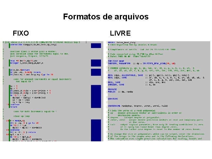 Formatos de arquivos FIXO LIVRE Formatos de arquivos FIXO LIVRE