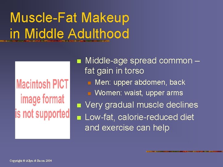 Muscle-Fat Makeup in Middle Adulthood n Middle-age spread common – fat gain in torso