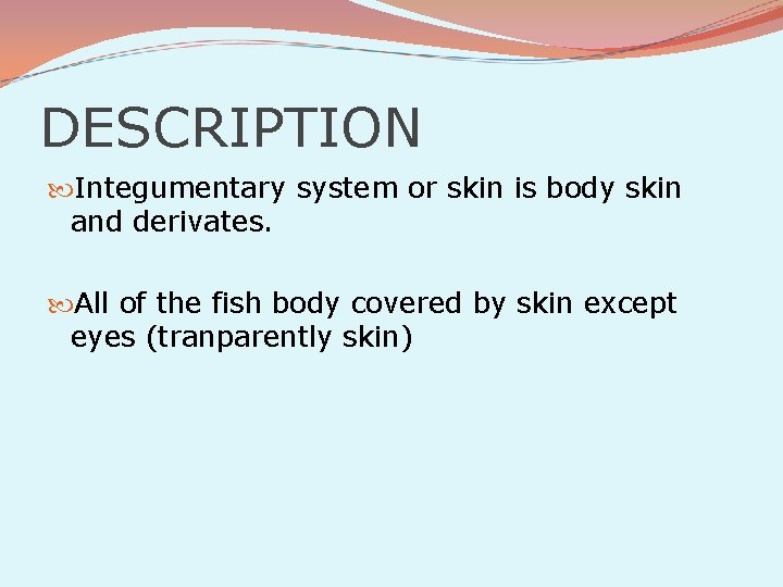 DESCRIPTION Integumentary system or skin is body skin and derivates. All of the fish