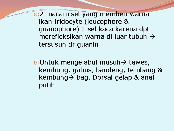  2 macam sel yang memberi warna ikan Iridocyte (leucophore & guanophore) sel kaca