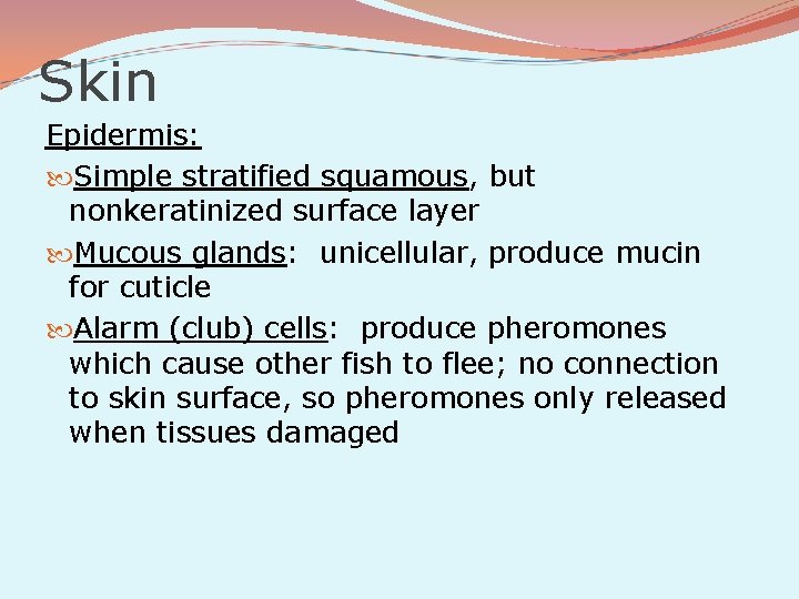 Skin Epidermis: Simple stratified squamous, but nonkeratinized surface layer Mucous glands: unicellular, produce mucin