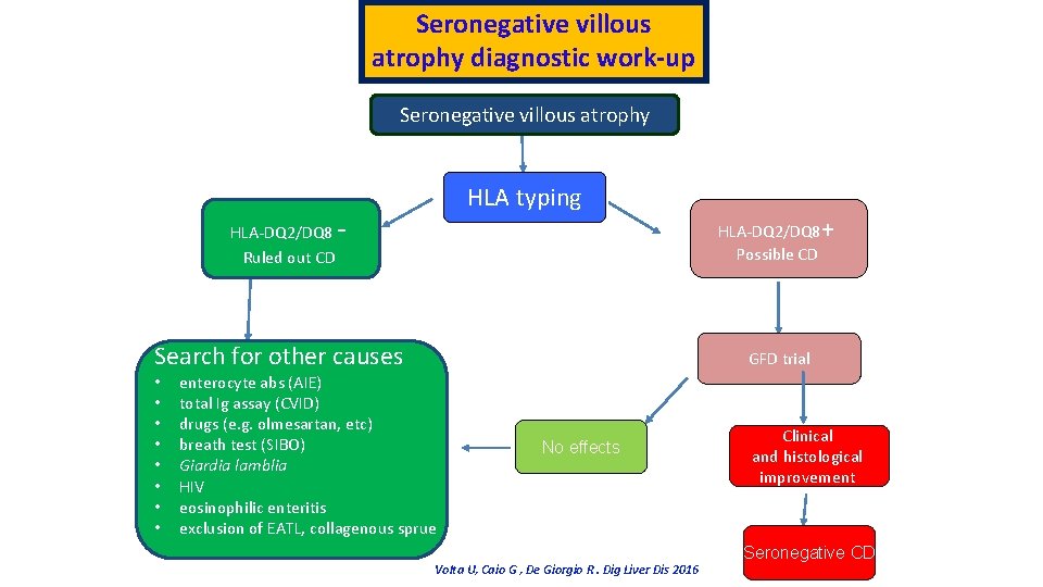 Seronegative villous atrophy diagnostic work-up Seronegative villous atrophy HLA-DQ 2/DQ 8 Ruled out CD