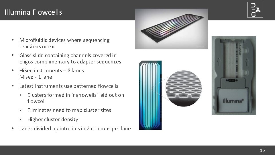 Illumina Flowcells • Microfluidic devices where sequencing reactions occur • Glass slide containing channels