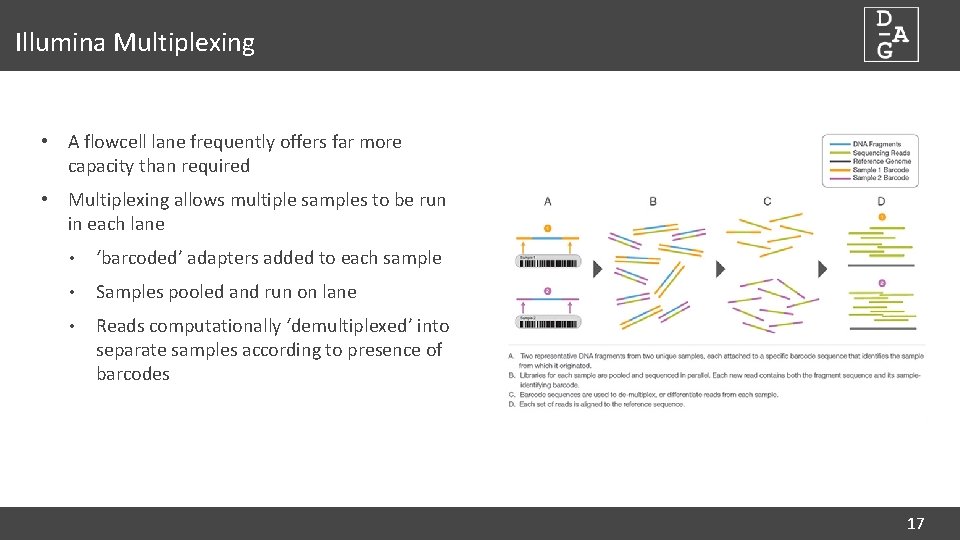 Illumina Multiplexing • A flowcell lane frequently offers far more capacity than required •