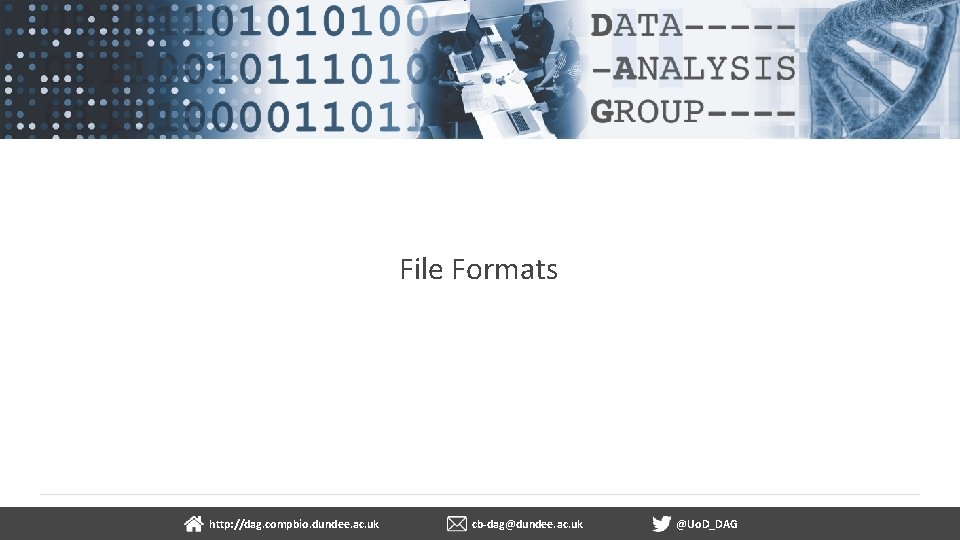 File Formats dundee. ac. uk http: //dag. compbio. dundee. ac. uk cb-dag@dundee. ac. uk