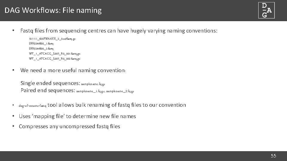 DAG Workflows: File naming • Fastq files from sequencing centres can have hugely varying