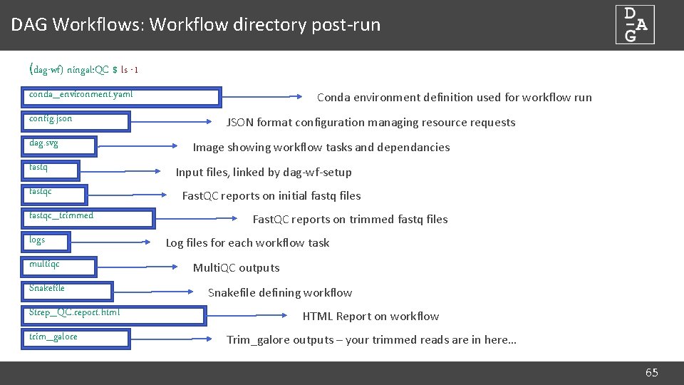 DAG Workflows: Workflow directory post-run (dag-wf) ningal: QC $ ls -1 conda_environment. yaml config.