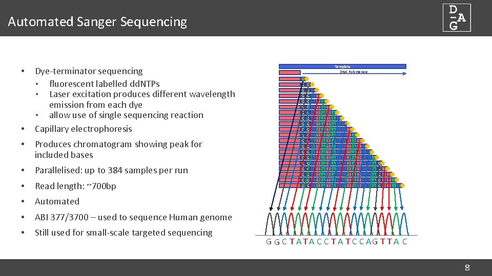 Automated Sanger Sequencing • • • Dye-terminator sequencing • fluorescent labelled dd. NTPs •