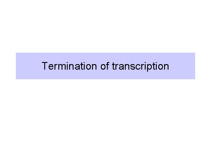 Termination of transcription 
