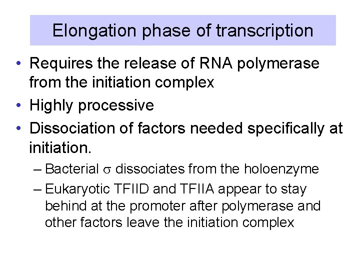 Elongation phase of transcription • Requires the release of RNA polymerase from the initiation